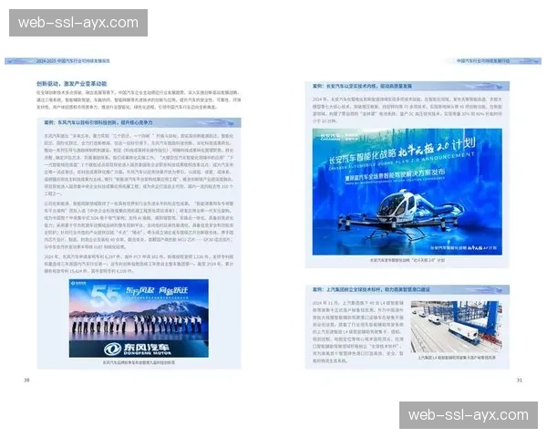 当前发展阶段从追求规模增长转向追求质量与可持续性