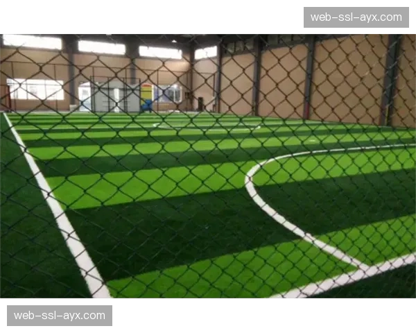 成都凤凰山专业足球场完成灯光与草皮升级，迎接新一轮主场赛事。